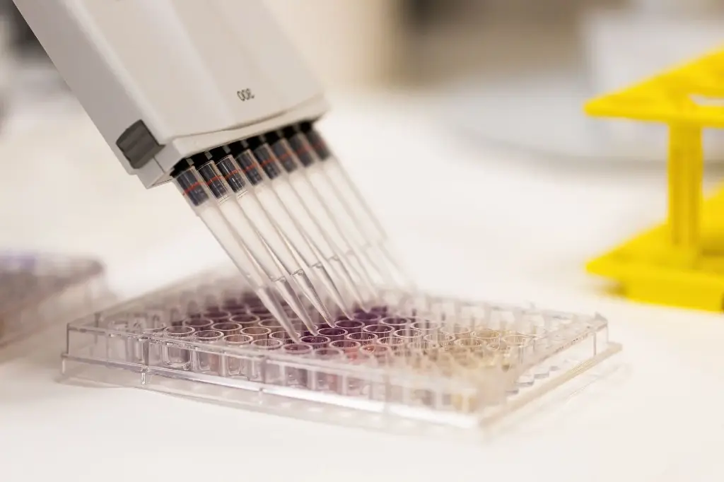 ABsolute QPCR Adhesive Seal (50)