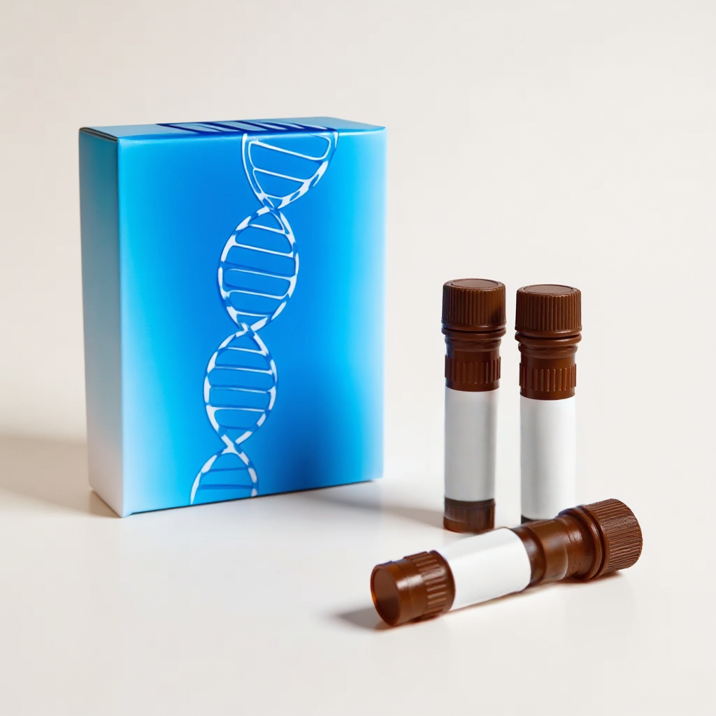 5-Methyl deoxyCytidine-50 nmol