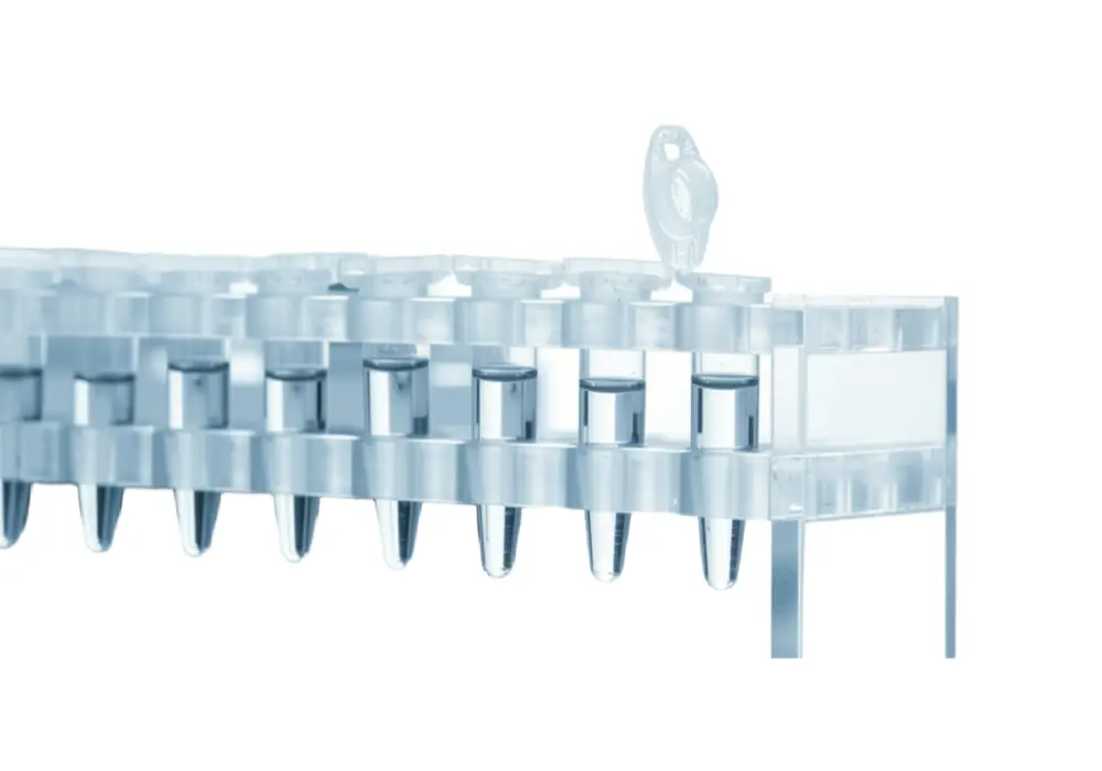 Human Liver tumor cDNA