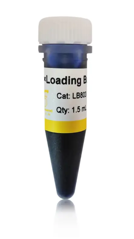 6×Loading Buffer