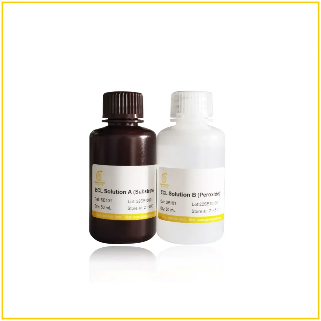 
Ultrasensitive ECL Chemiluminescence Detection Kit