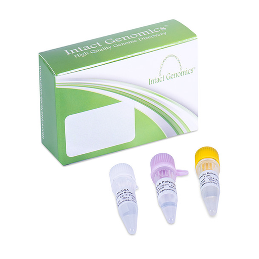 T4-UvsX-DNA-Recombinase